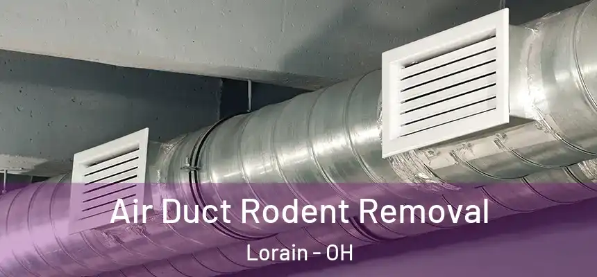 Air Duct Rodent Removal Lorain - OH