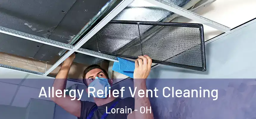 Allergy Relief Vent Cleaning Lorain - OH