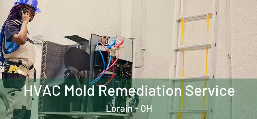 HVAC Mold Remediation Service Lorain - OH