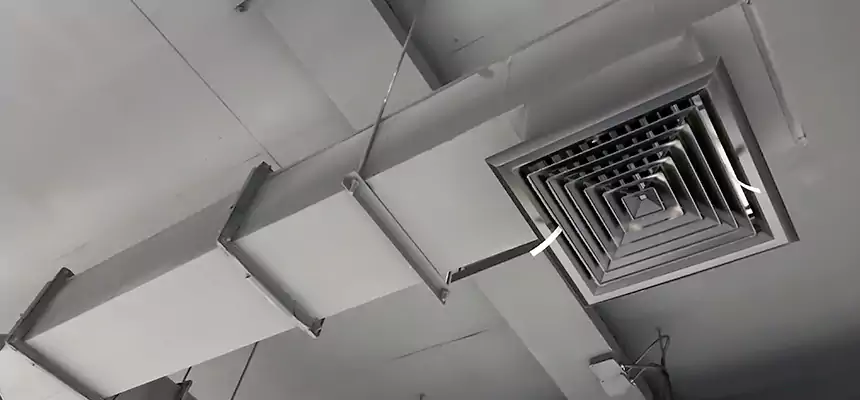 Our Rodent Droppings In Vents Services in Lorain, OH