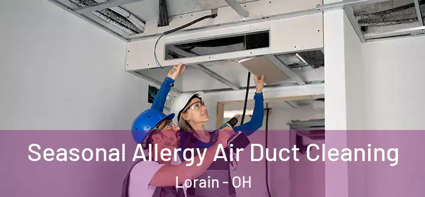 Seasonal Allergy Air Duct Cleaning Lorain - OH