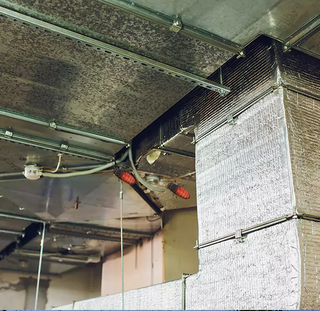 Why Homeowners & Businesses Trust Us in Lorain, OH?