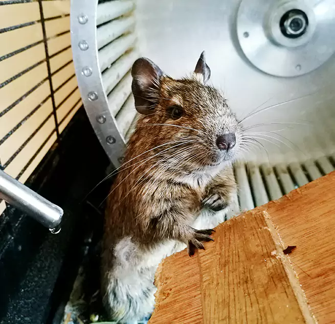 Why Homeowners & Businesses Trust Us Lorain, OH